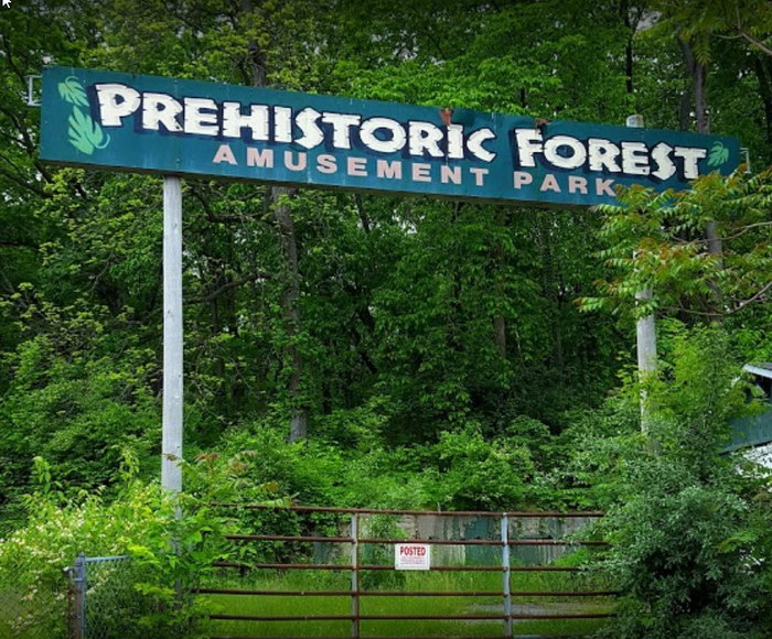 Prehistoric Forest - From The Web (newer photo)